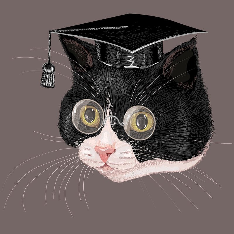 Шляпа кота ученого