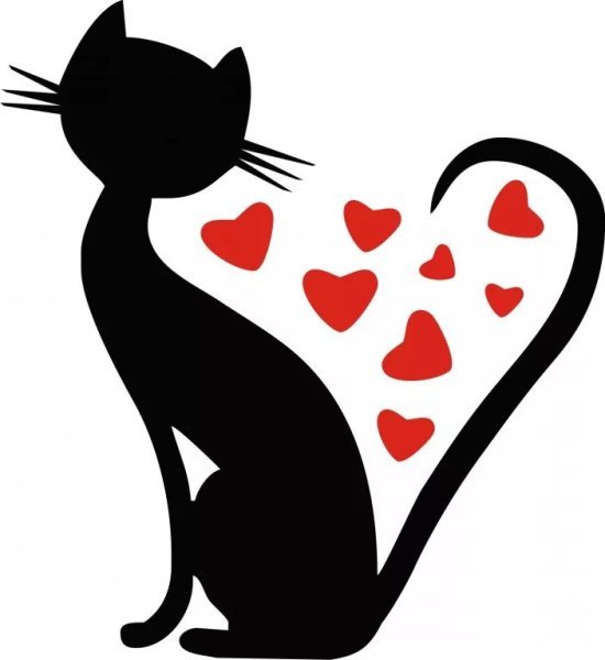 котик с сердечком
