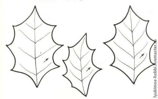 Остролист трафарет