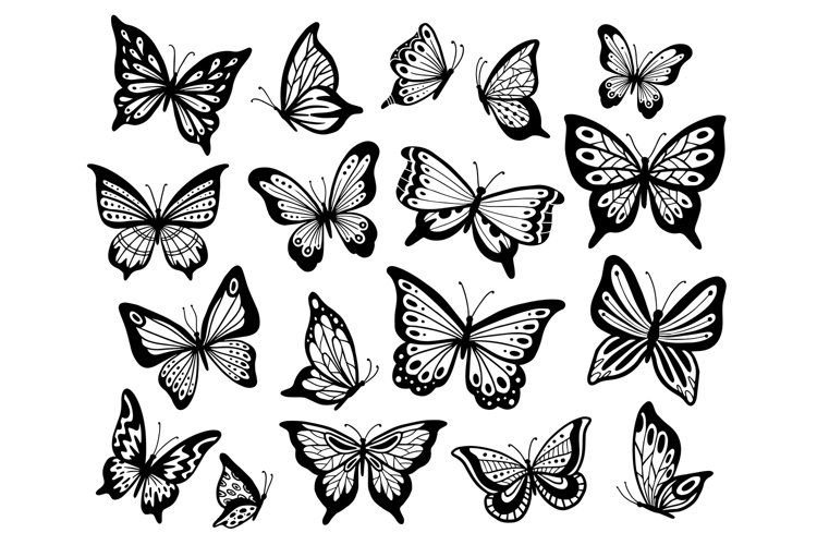 Бабочка контур