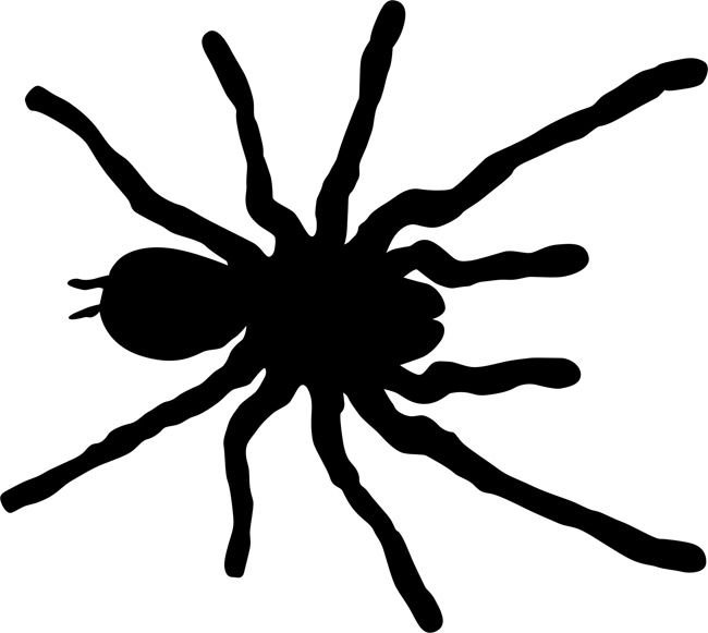 Паук трафарет