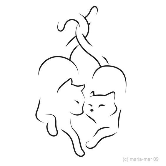 Влюбленный котик