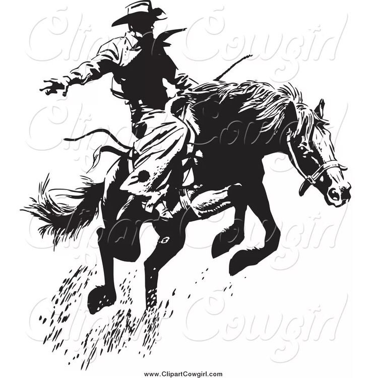 Ковбой на коне