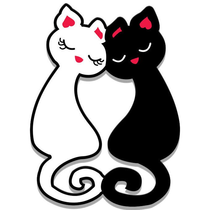 Котики любовь