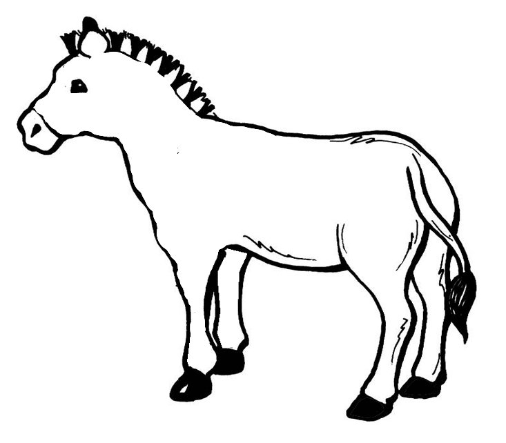 Зебра раскраска