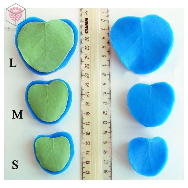 Шаблон листики эвкалипта