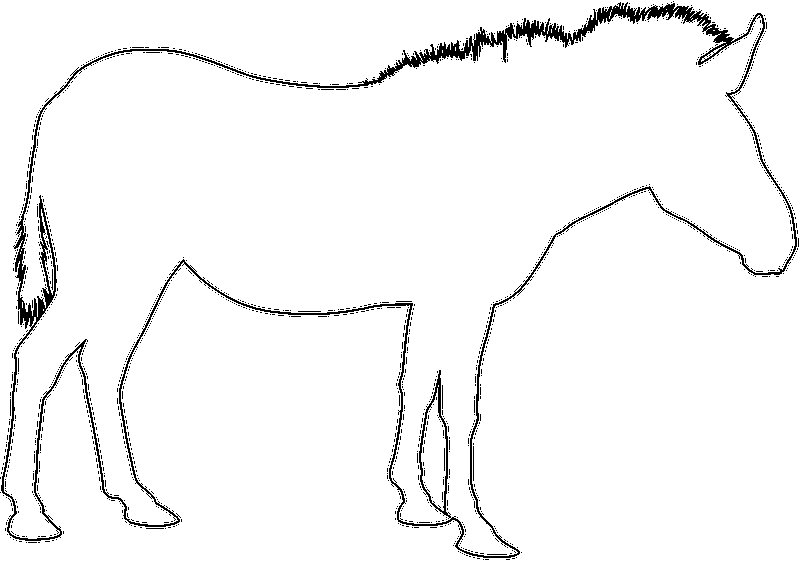 Трафарет зебры без полосок