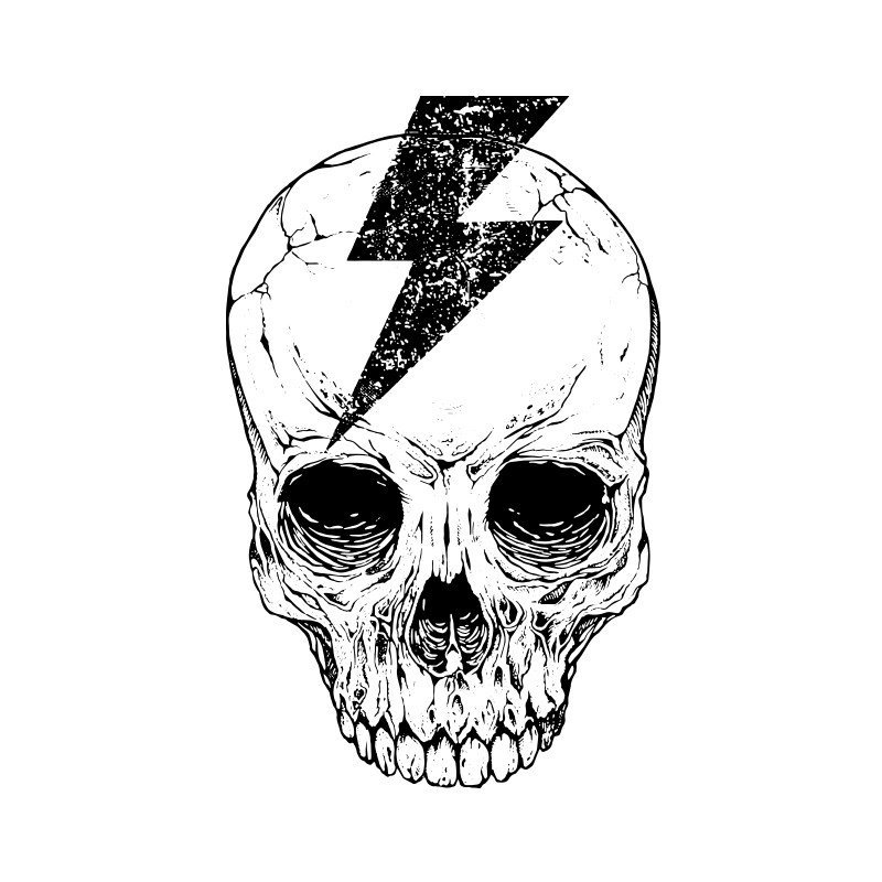 Череп с молнией не влезай убьет