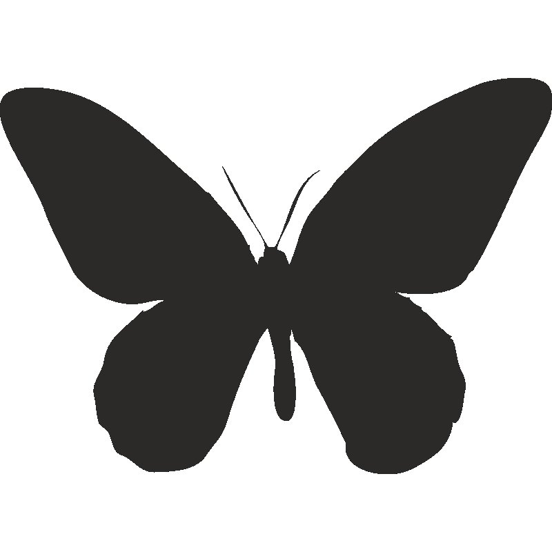 Трафарет бабочки на стену