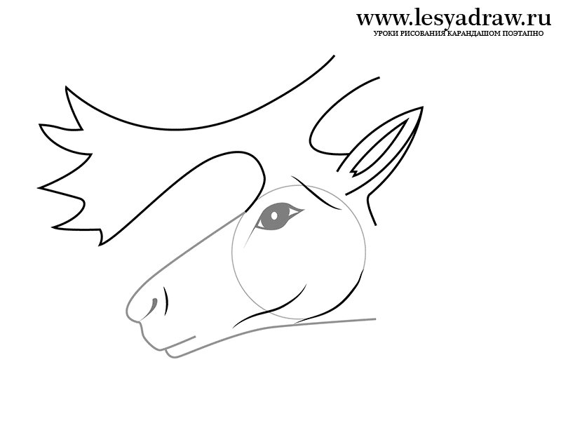 Глаза оленя шаблон