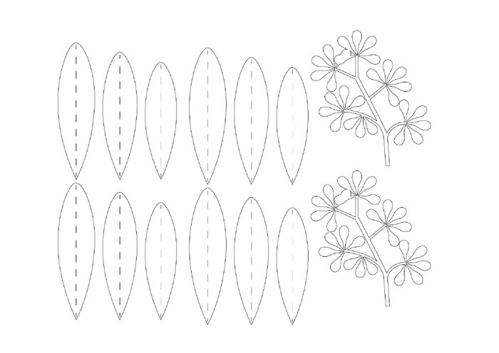 Шаблон лепестков герберы