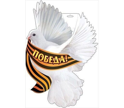 Голубь с георгиевской ленточкой