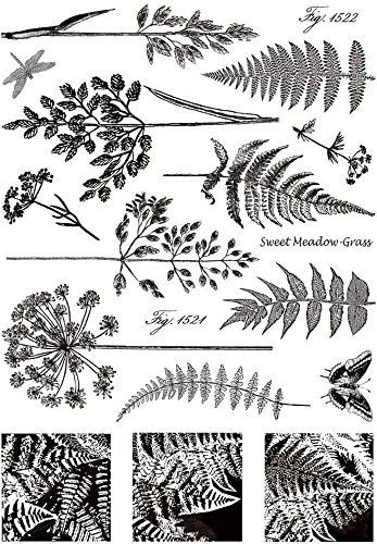 Папоротник раскраска