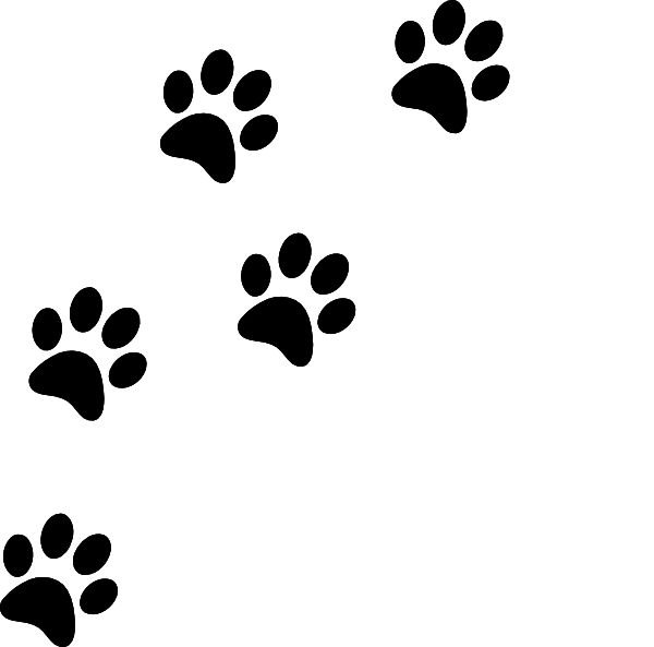 Отпечаток кошачьей лапки