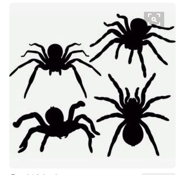 Трафареты пауков