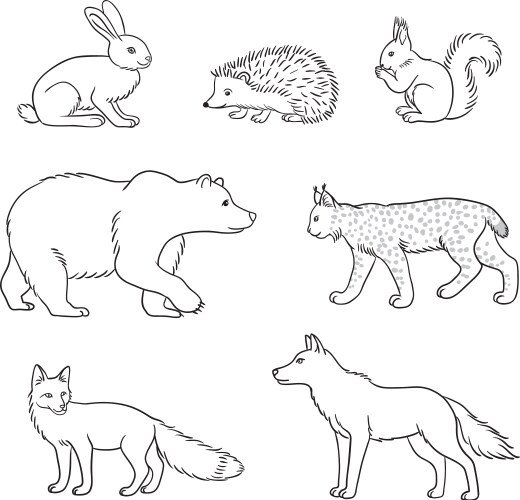 Лесные животные раскраска для малышей