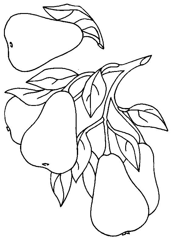 Фрукты раскраска для детей