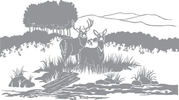 Трафарет пейзаж