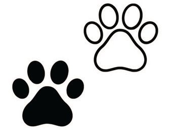 Кошачья лапка контур