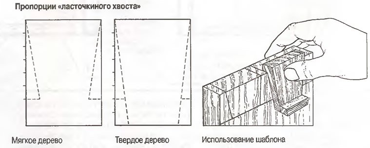 для ласточкиного хвоста