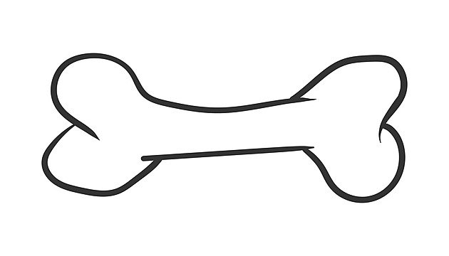 Косточка раскраска для детей