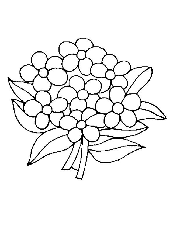 Цветы. Раскраска для малышей