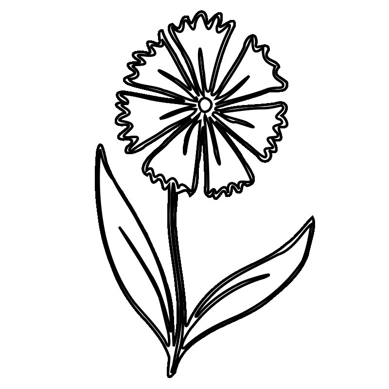 Василек рисунок