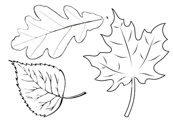 Листья для вырезания из бумаги шаблоны