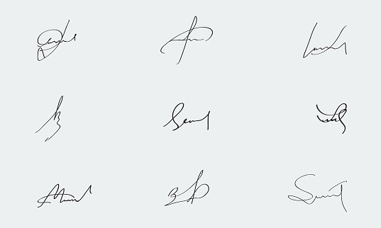 Кот и подпись