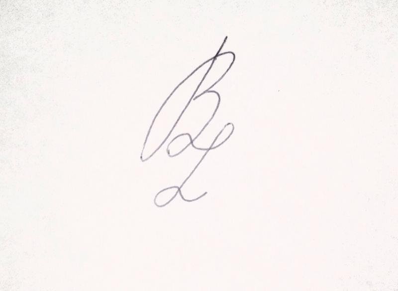 Росписи на паспорт