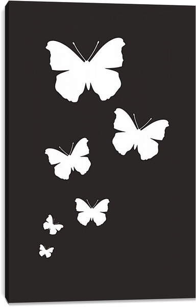 Бабочки на черном фоне