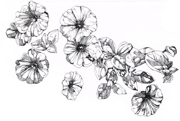 Цветочек скетч