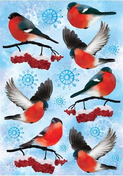 Снегири распечатать картинки цветные