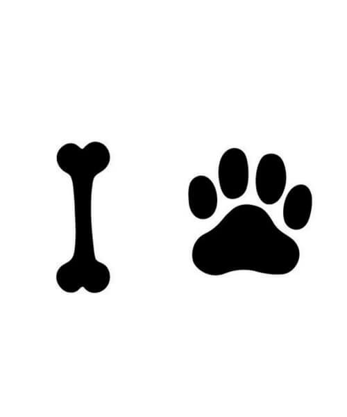 Следы лапок