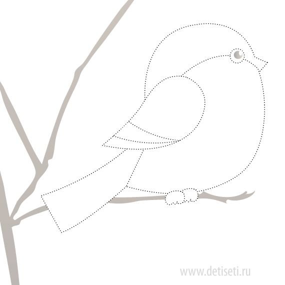 Шаблон птички для аппликации