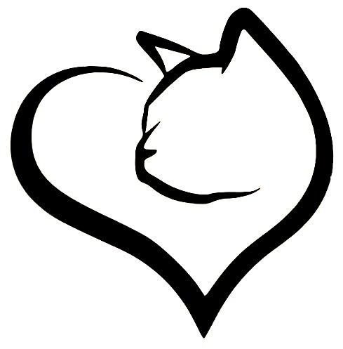 Очертание кошки