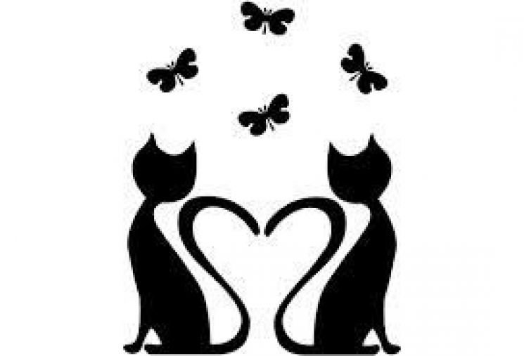 Трафареты кошек для декора