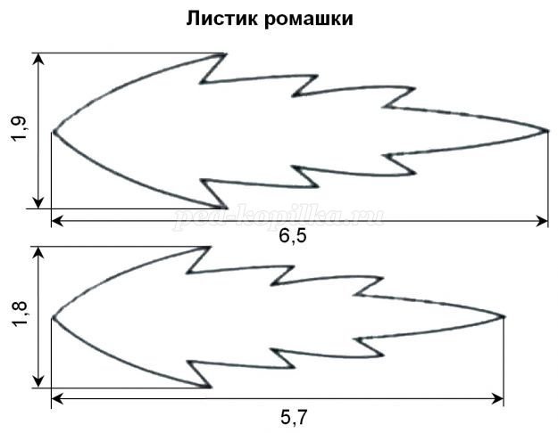 Лист ромашки трафарет для вырезания