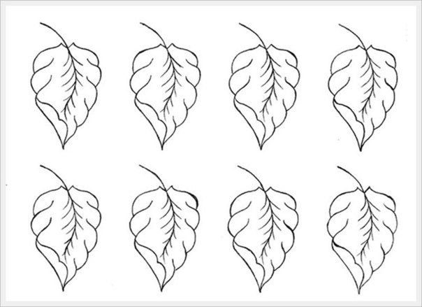 Рисунки листьев