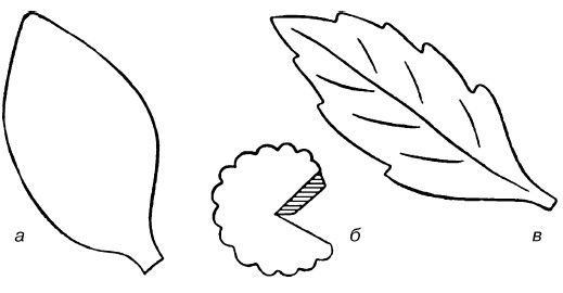 Трафареты листиков для цветов