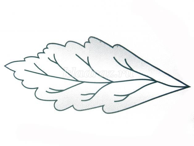 Шаблон листьев ромашки для вырезания