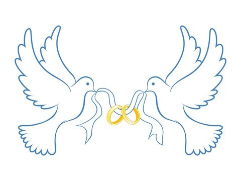 Голуби для вырезки