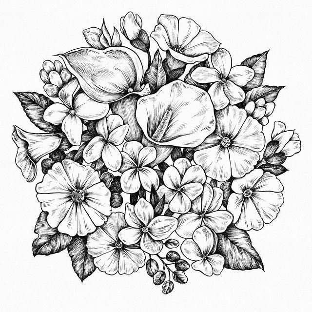 Цветы эскиз
