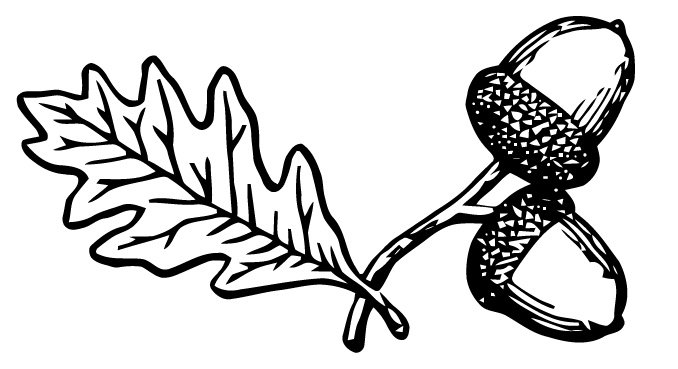 Орехи для раскрашивания для детей