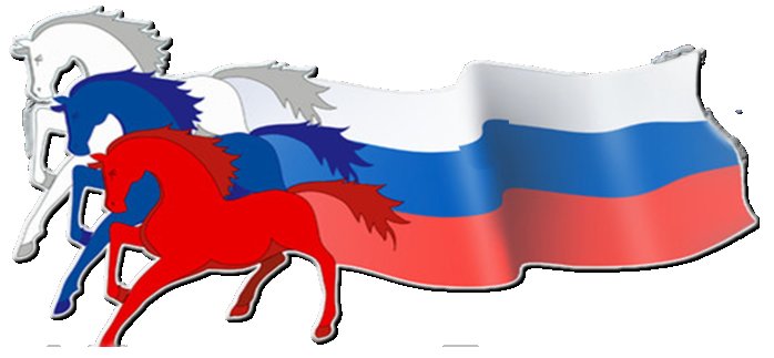 Лошади с российским флагом