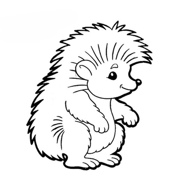 Раскраска Ёжик