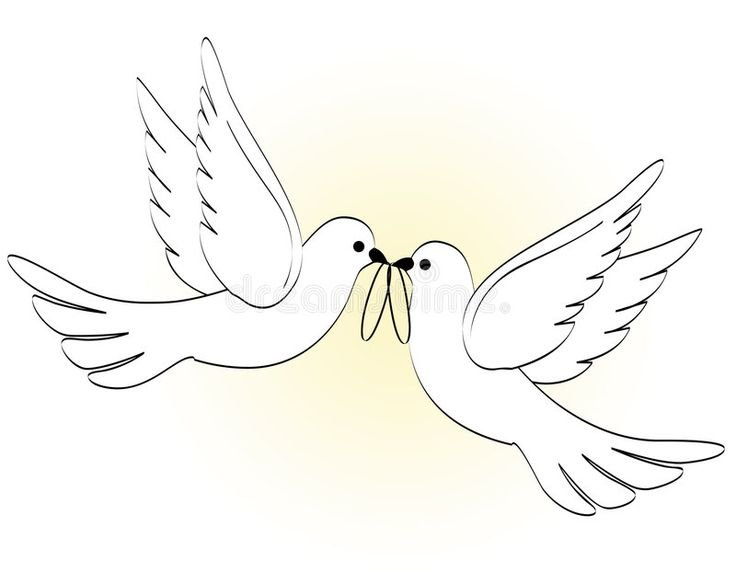 Голубь трафарет