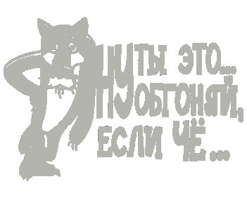 Волк заходи если что