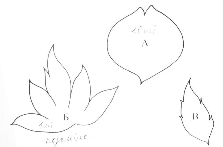 Чашелистик пиона из фоамирана