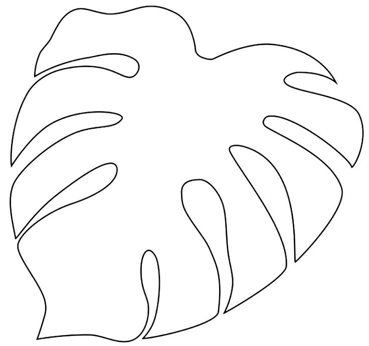 Лист пальмы трафарет